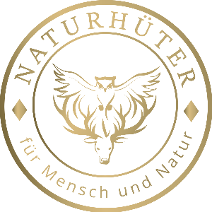 Online Kongress System
